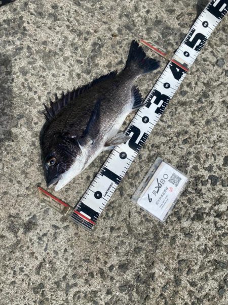 天気回復。更に