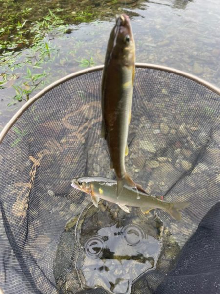 曇りのち豪雨🌩ɬ…