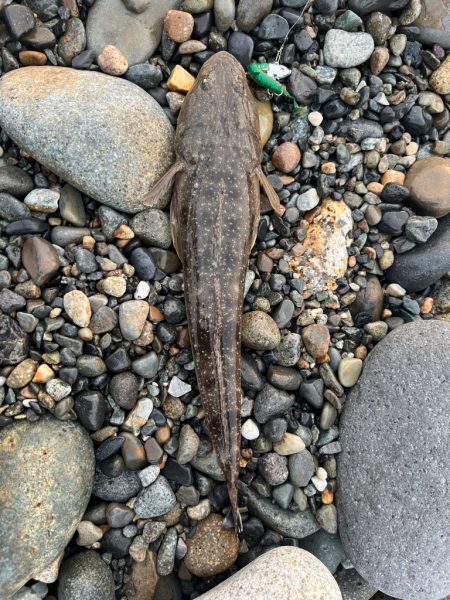 まごちんゆー２