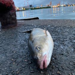 遊んでいたのにゴメン!