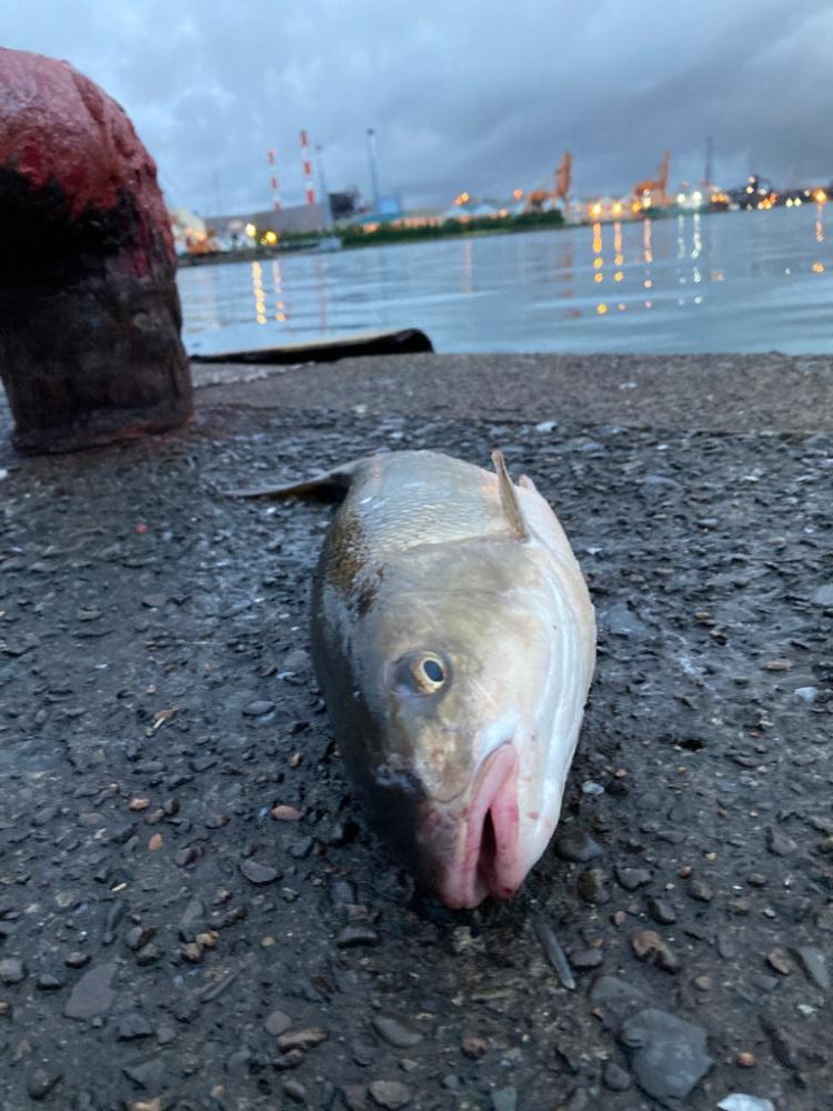 遊んでいたのにゴメン！