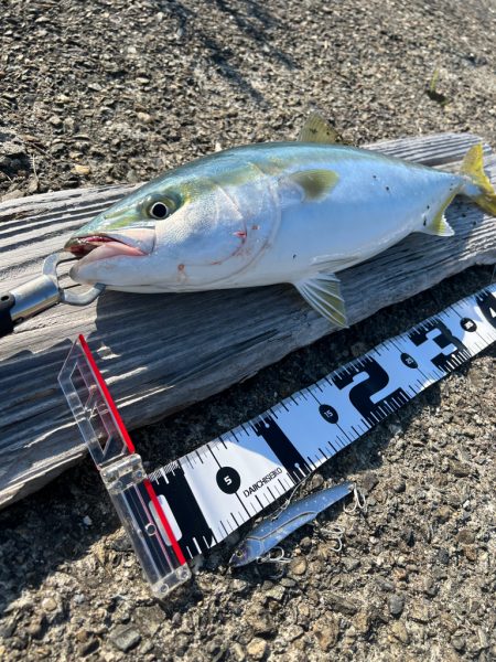 信頼と安心のビッグバッカー！