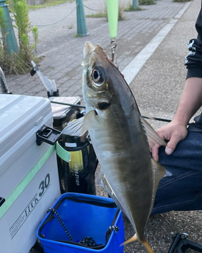 ようやくツバスが釣れました*\(^o^)/*