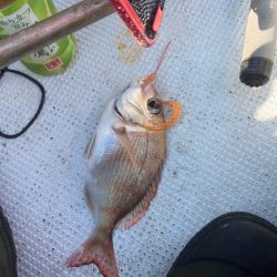 '22 鯛ラバ 16回目