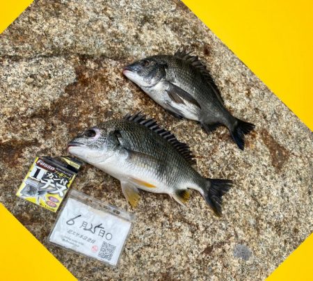 風、流れも強い。