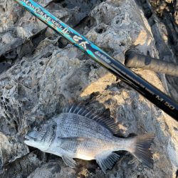 梅雨合間の晴天☀️