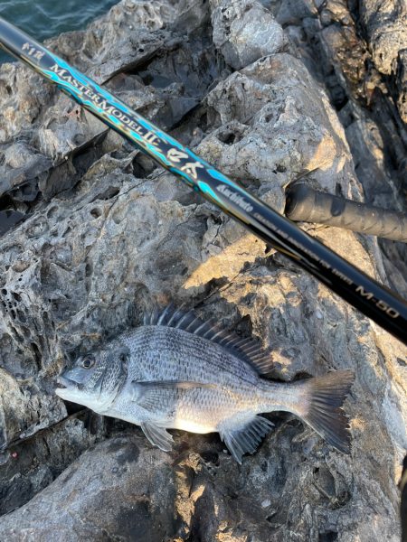 梅雨合間の晴天☀࿠…