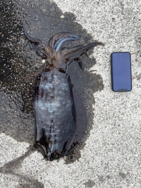 ファミリーフィッシング