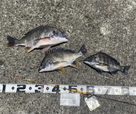 風が少し強く肌寒く感じる日