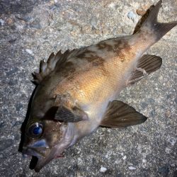 とにかく、釣りを楽しむ！