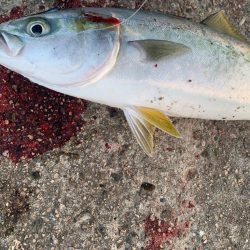 ブルーハンター