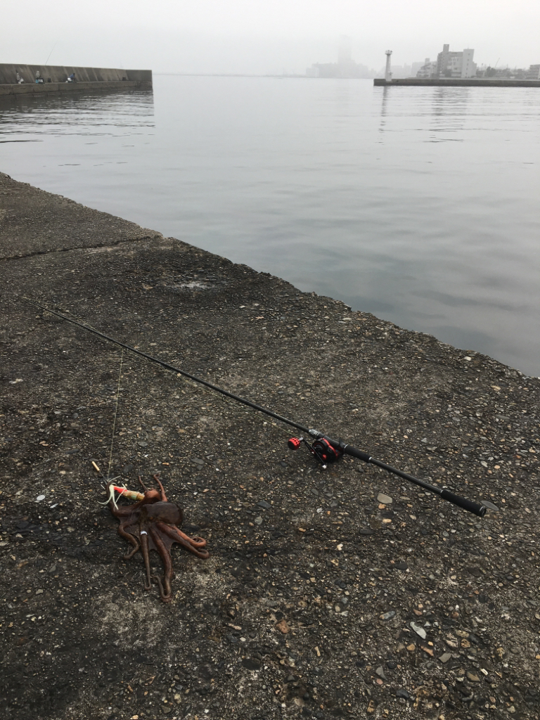 自作タコエギを使って