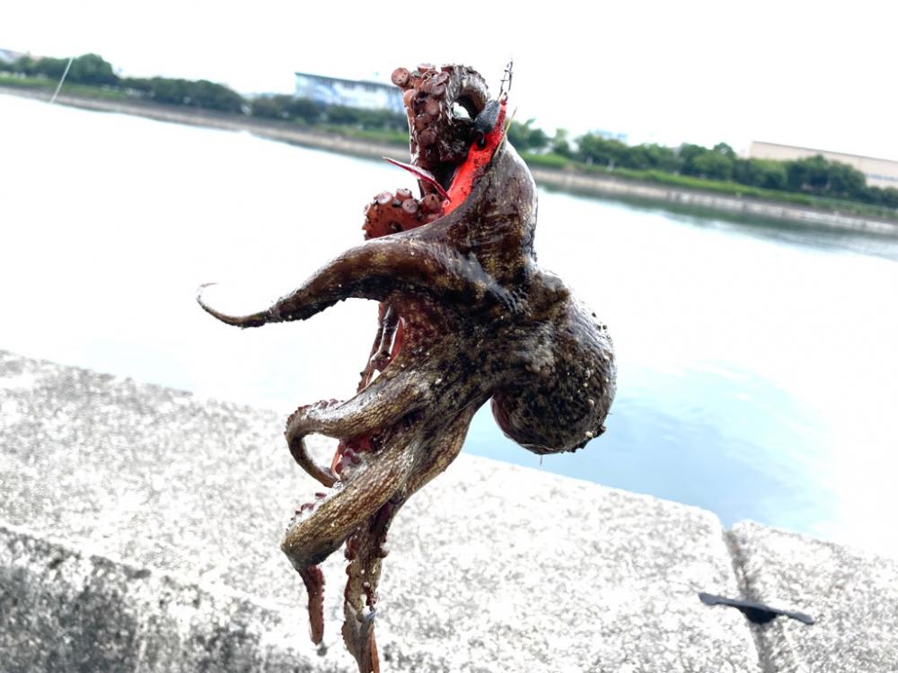 2022初釣果⁉️⁉️