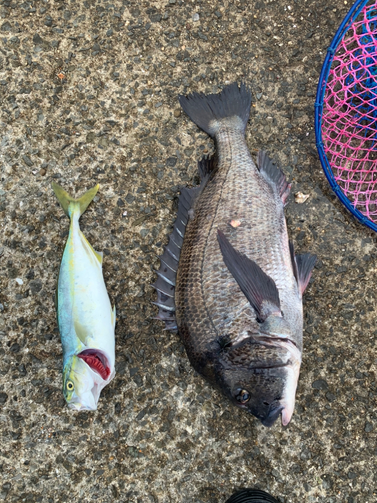 年無しには少し及ばず…