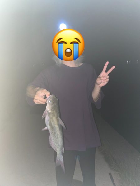 霞ヶ浦のナマズ