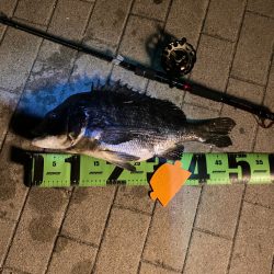 ヘチってきました