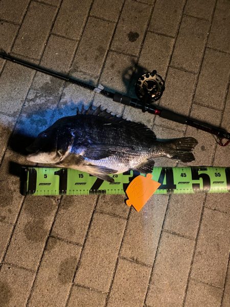 ヘチってきました