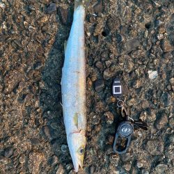 本命は釣れず😂