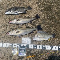 間開けず反応有り