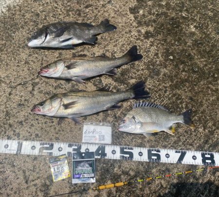 間開けず反応有り