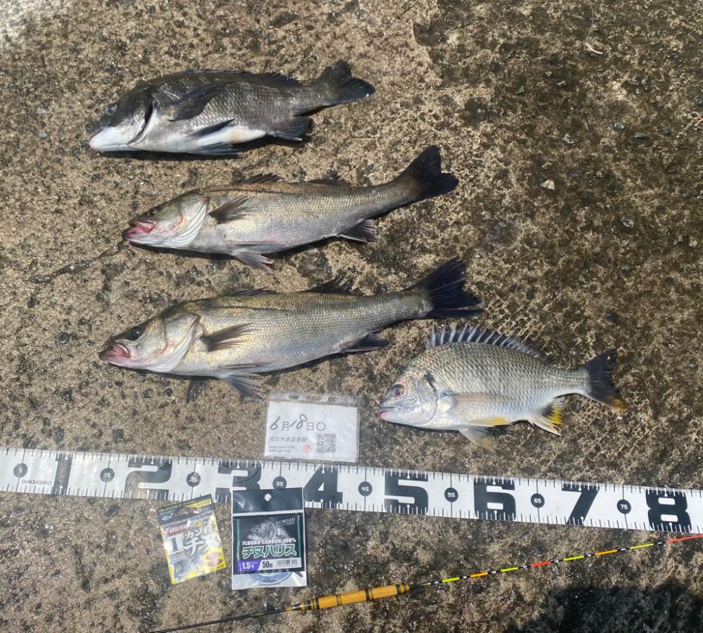 間開けず反応有り