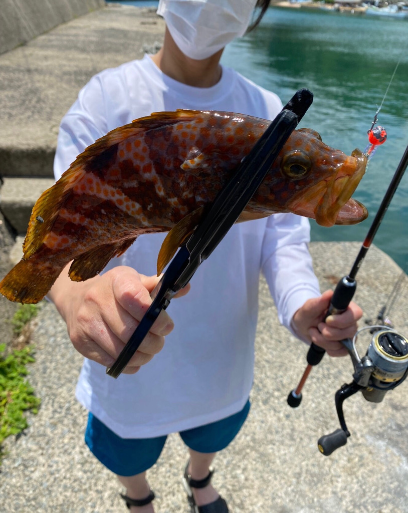 初めて釣りました🎣