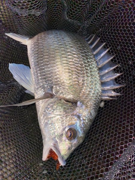 薄まってきたカフェオレチニング