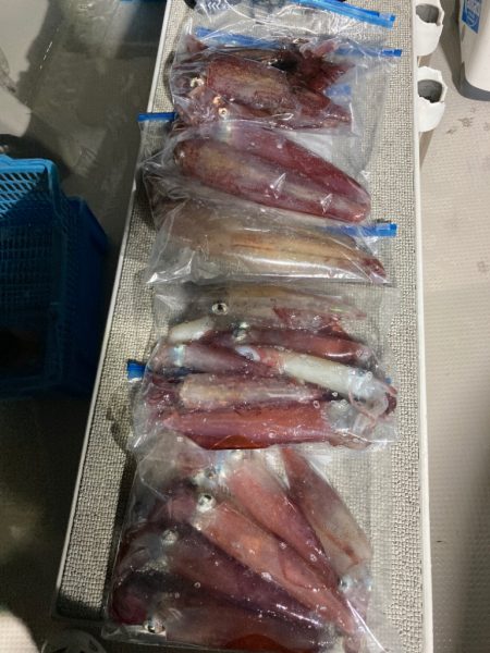 ２９日マイカ半夜便