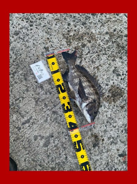 アタリが続く期待の中