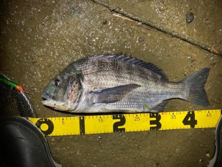 夜のルアーフィッシング