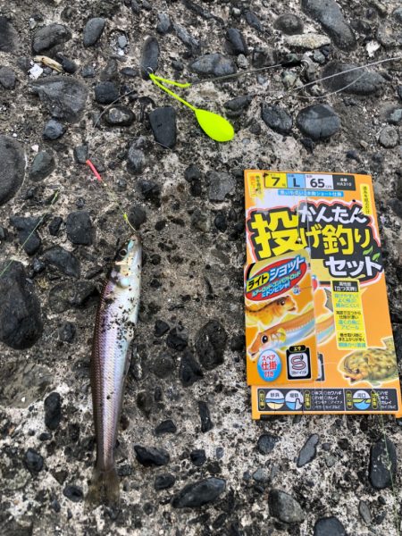 ちょい投げキッス!!