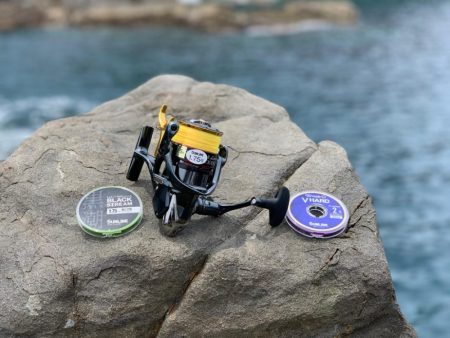 尾長を求めてパート2