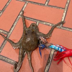 ⭐︎ぎりテイクアウトサイズ