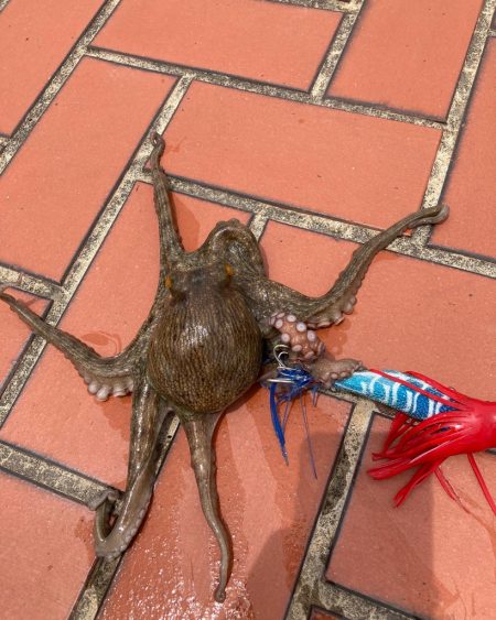 ⭐︎ぎりテイクアウトサイズ