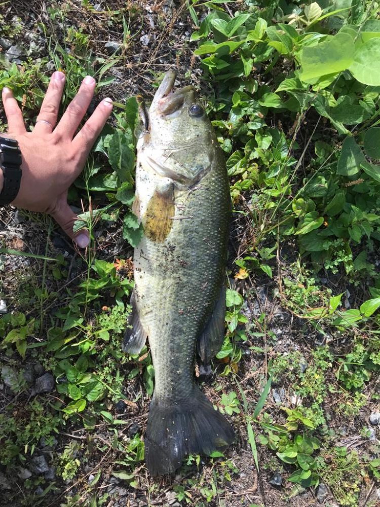 ラパラジョイントでバス！