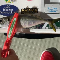 ボートアジング2回目