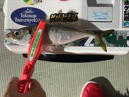 ボートアジング2回目