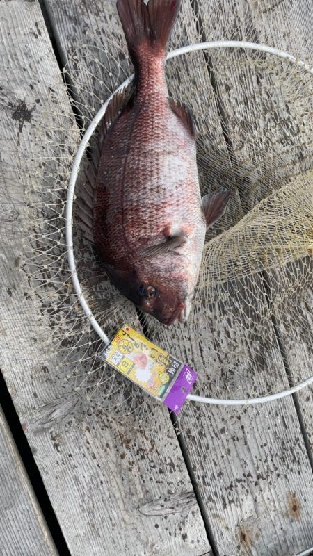 6月13日釣堀海恵釣行