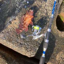 穴釣り 2022年13回目