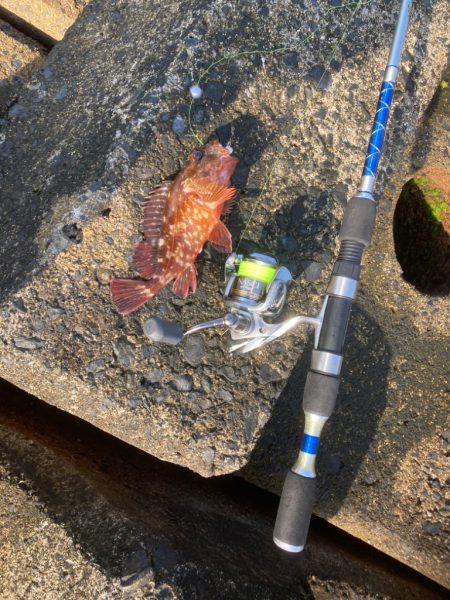 穴釣り 2022年13回目