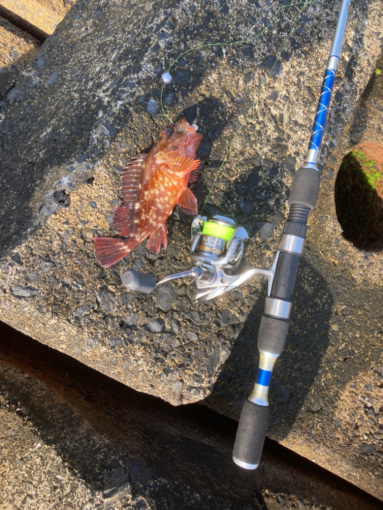 穴釣り 2022年13回目