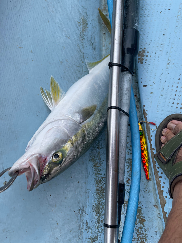 明石ジギング船釣行