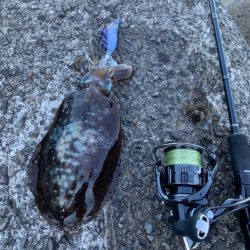 日中は猛暑でも朝方は快適