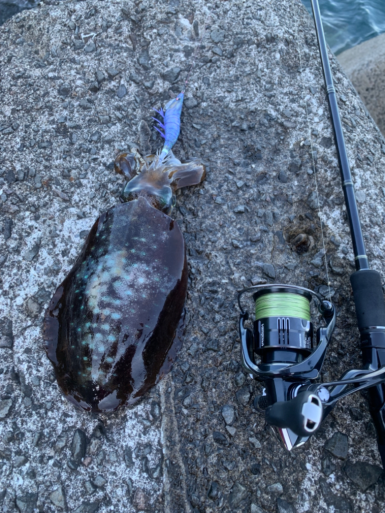 日中は猛暑でも朝方は快適