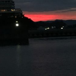 アジ、どこ行った？