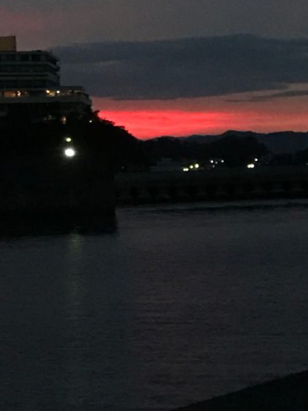 アジ、どこ行った？