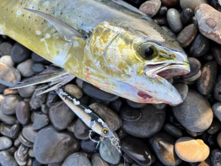 やっぱりジャックアイエースの飛距離は武器に…