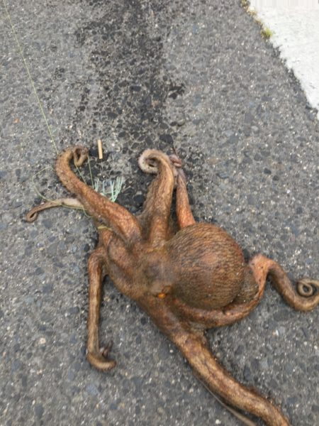 自己最高を更新