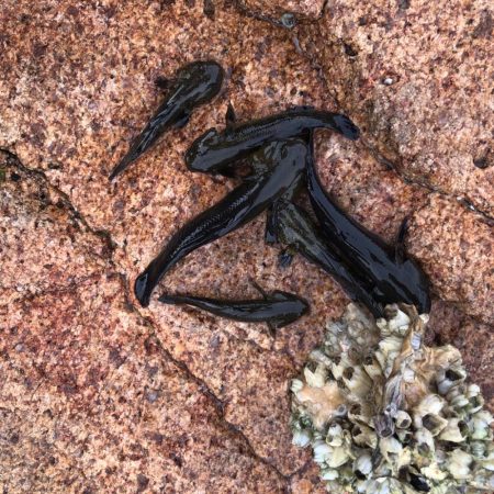 楽しい夕方のひと時(^ ^)