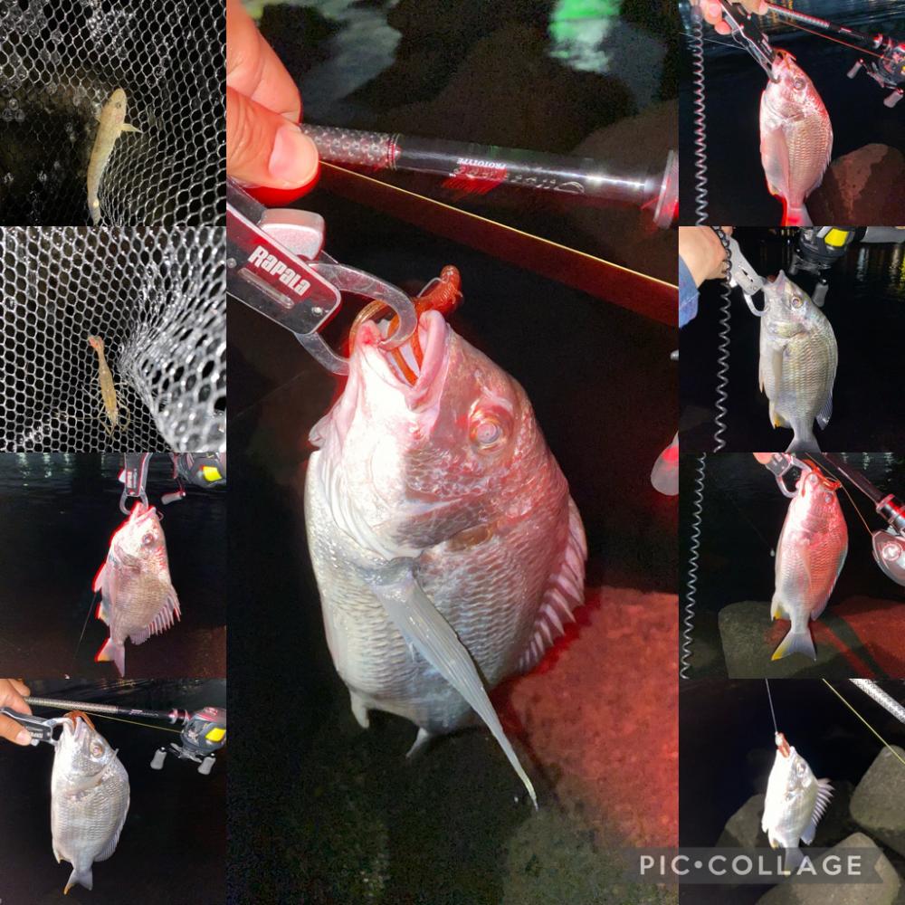 笹濁りナイトチニング 　淀川